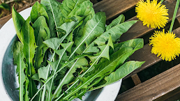 dandelionleaves
