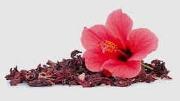 hibiscusflowers